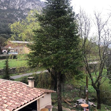 Auberge De La Vallee Saint-Jean-de-Buèges Exteriör bild