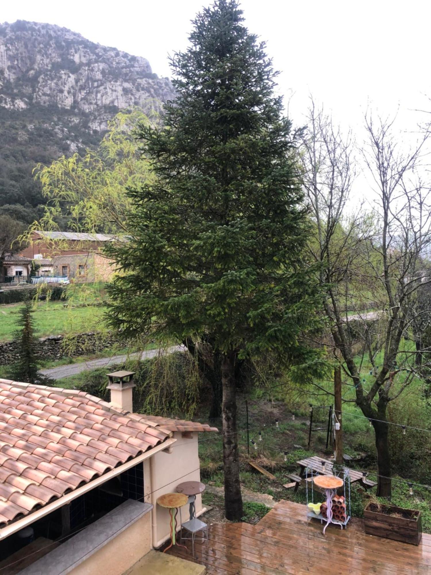 Auberge De La Vallee Saint-Jean-de-Buèges Exteriör bild